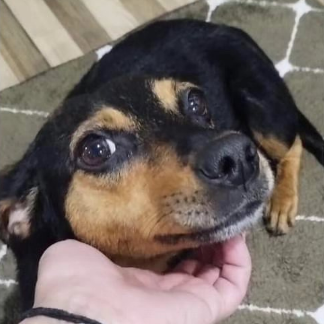 Luna depois